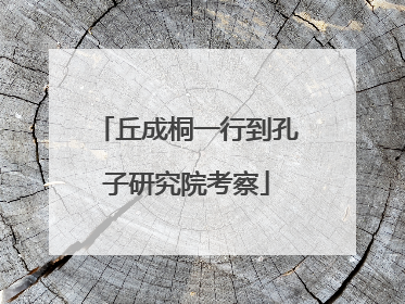 丘成桐一行到孔子研究院考察