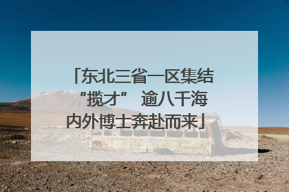 东北三省一区集结“揽才” 逾八千海内外博士奔赴而来
