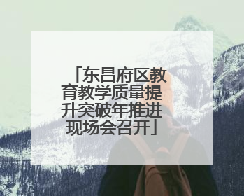 东昌府区教育教学质量提升突破年推进现场会召开
