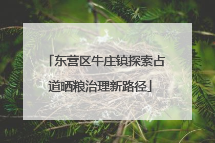 东营区牛庄镇探索占道晒粮治理新路径
