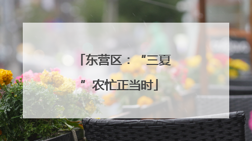 东营区：“三夏”农忙正当时