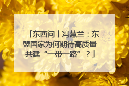 东西问丨冯慧兰：东盟国家为何期待高质量共建“一带一路”？