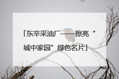 东辛采油厂——擦亮“城中家园”绿色名片