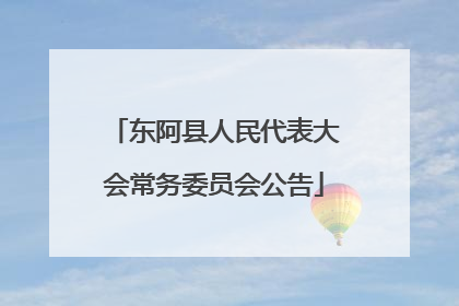 东阿县人民代表大会常务委员会公告