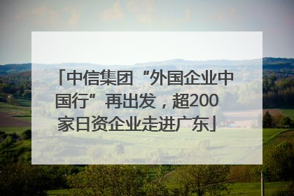 中信集团“外国企业中国行”再出发，超200家日资企业走进广东