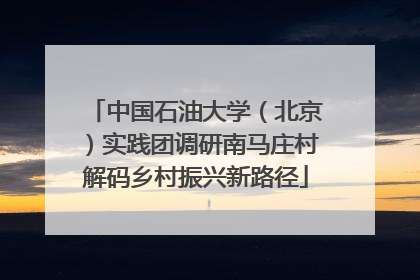 中国石油大学（北京）实践团调研南马庄村解码乡村振兴新路径