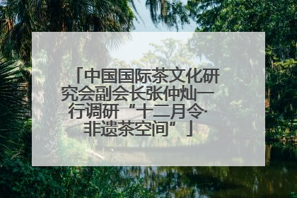 中国国际茶文化研究会副会长张仲灿一行调研“十二月令·非遗茶空间”