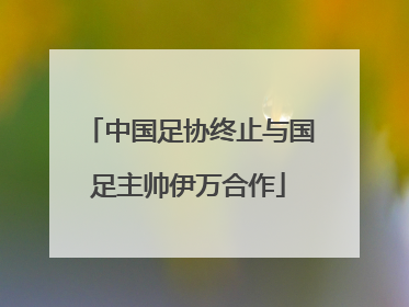 中国足协终止与国足主帅伊万合作