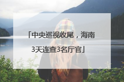 中央巡视收尾，海南3天连查3名厅官