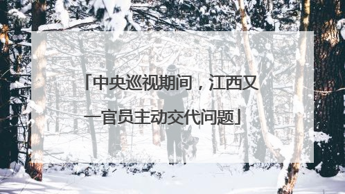 中央巡视期间，江西又一官员主动交代问题