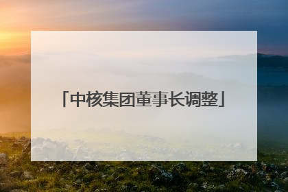 中核集团董事长调整