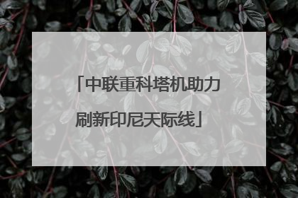 中联重科塔机助力刷新印尼天际线