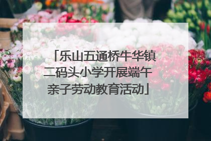 乐山五通桥牛华镇二码头小学开展端午亲子劳动教育活动