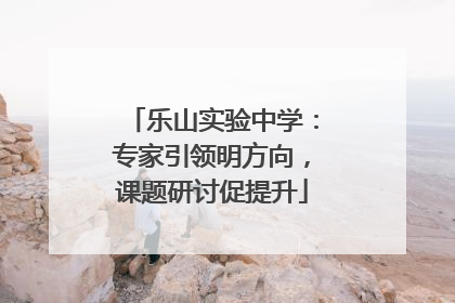 乐山实验中学：专家引领明方向，课题研讨促提升