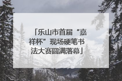 乐山市首届“嘉祥杯”现场硬笔书法大赛圆满落幕