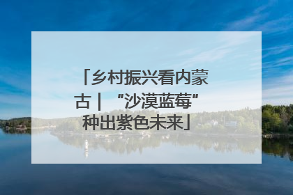 乡村振兴看内蒙古｜“沙漠蓝莓”种出紫色未来