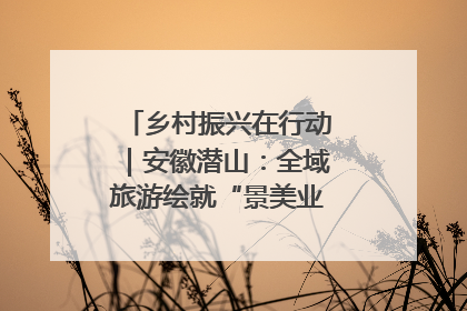 乡村振兴在行动｜安徽潜山：全域旅游绘就“景美业兴民富”新画卷