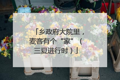 乡政府大院里，麦客有个“家”（三夏进行时）