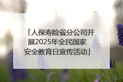 人保寿险省分公司开展2025年全民国家安全教育日宣传活动