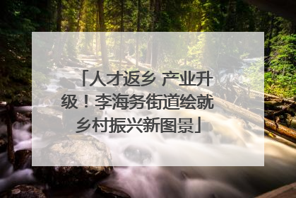 人才返乡 产业升级！李海务街道绘就乡村振兴新图景