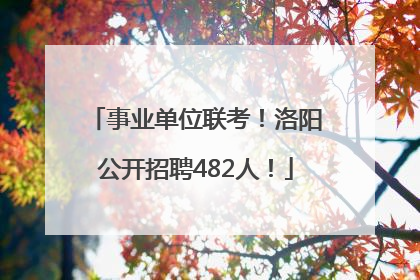 事业单位联考！洛阳公开招聘482人！