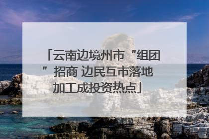 云南边境州市“组团”招商 边民互市落地加工成投资热点