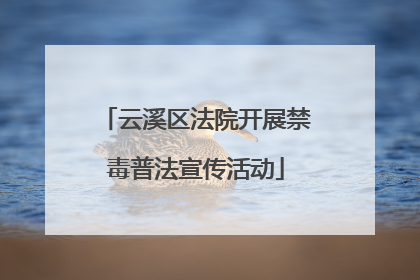 云溪区法院开展禁毒普法宣传活动