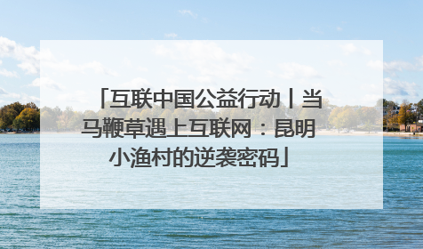 互联中国公益行动丨当马鞭草遇上互联网：昆明小渔村的逆袭密码