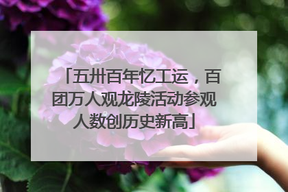 五卅百年忆工运，百团万人观龙陵活动参观人数创历史新高