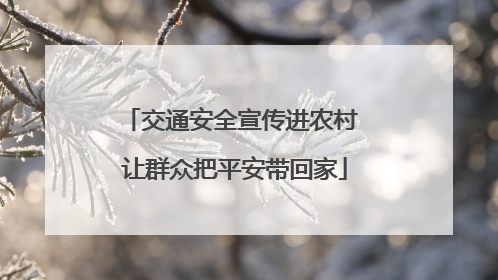 交通安全宣传进农村 让群众把平安带回家