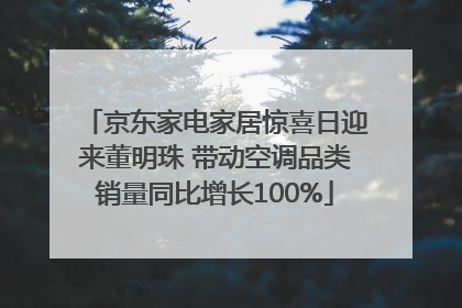 京东家电家居惊喜日迎来董明珠 带动空调品类销量同比增长100%