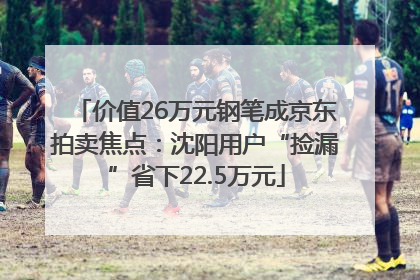 价值26万元钢笔成京东拍卖焦点：沈阳用户“捡漏”省下22.5万元