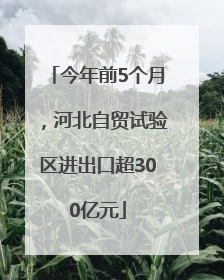 今年前5个月，河北自贸试验区进出口超300亿元