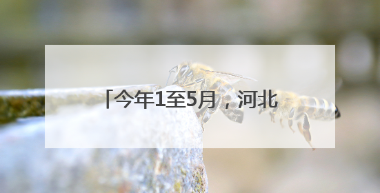 今年1至5月，河北对中亚五国进出口总值同比增长1.1倍
