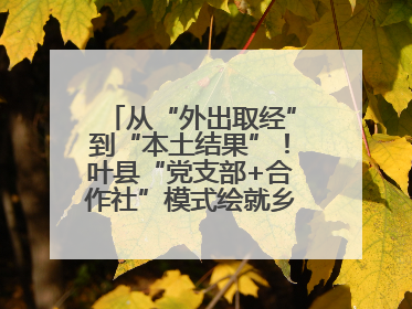 从“外出取经”到“本土结果”！叶县“党支部+合作社”模式绘就乡村振兴新图景