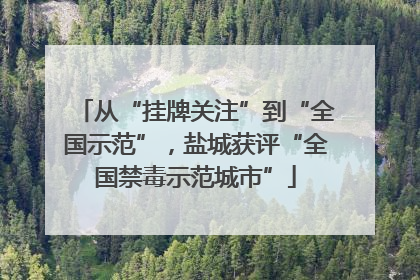 从“挂牌关注”到“全国示范”，盐城获评“全国禁毒示范城市”