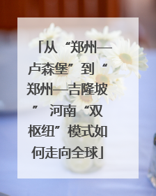 从“郑州—卢森堡”到“郑州—吉隆坡” 河南“双枢纽”模式如何走向全球