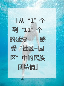 从“1”个到“11”个的延续——感受“社区+园区”中的民族团结情