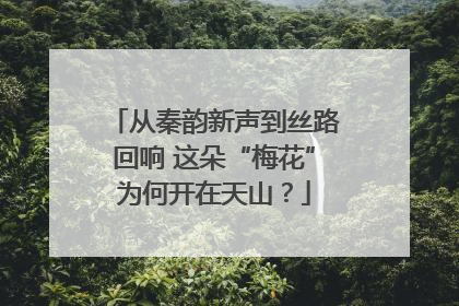 从秦韵新声到丝路回响 这朵“梅花”为何开在天山？