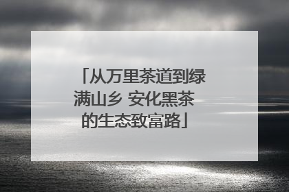 从万里茶道到绿满山乡 安化黑茶的生态致富路