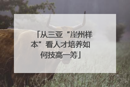 从三亚“崖州样本”看人才培养如何技高一筹