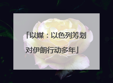 以媒：以色列筹划对伊朗行动多年