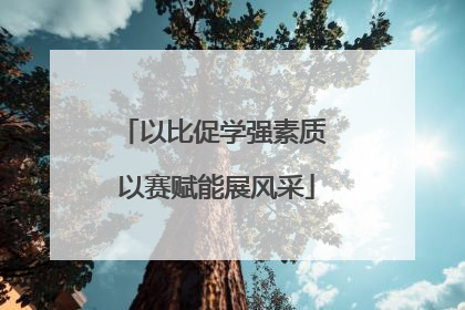 以比促学强素质 以赛赋能展风采