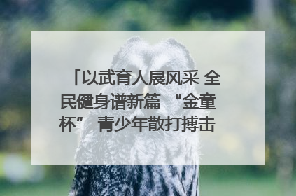 以武育人展风采 全民健身谱新篇 “金童杯” 青少年散打搏击邀请赛圆满落幕