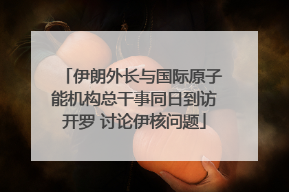 伊朗外长与国际原子能机构总干事同日到访开罗 讨论伊核问题