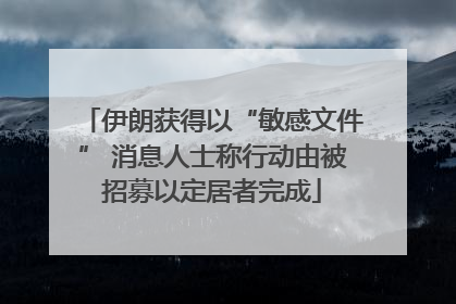 伊朗获得以“敏感文件” 消息人士称行动由被招募以定居者完成