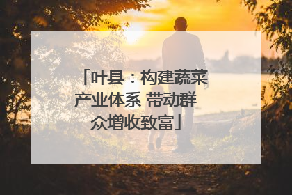 叶县：构建蔬菜产业体系 带动群众增收致富