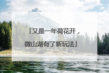 又是一年荷花开，微山湖有了新玩法