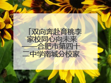 双向奔赴育桃李 家校同心向未来——合肥市第四十二中学南城分校家长学校期末总结会圆满召开