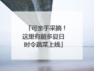 可亲手采摘！这里有超多夏日时令蔬菜上线